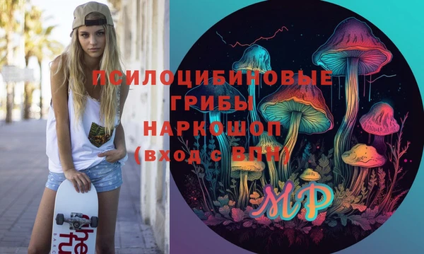а пвп мука Няндома