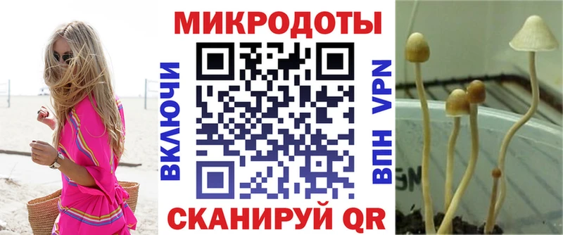 купить наркотик  Конаково  кракен ССЫЛКА  Псилоцибиновые грибы Psilocybe 