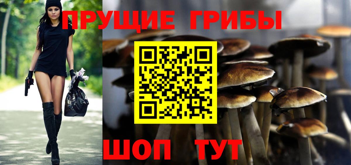 Псилоцибиновые грибы GOLDEN TEACHER Конаково